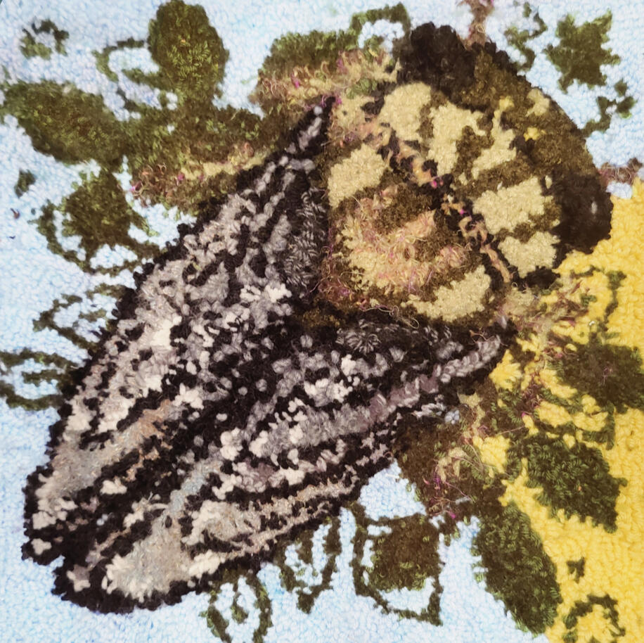 Cicada Rug 2023 Cicada Rug 2023
